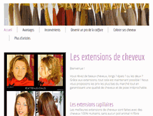 Tablet Screenshot of extensions-cheveux.com